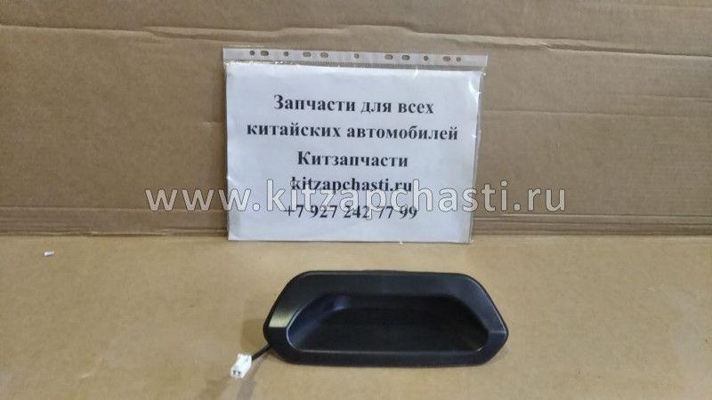 РУЧКА ОТКРЫВАНИЯ ДВЕРИ ЗАДКА Haval H6 9101247