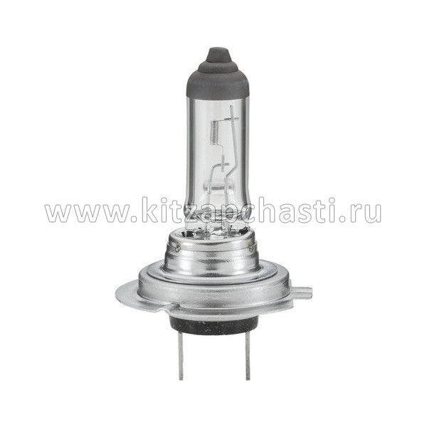 ЛАМПА ГОЛОВНОГО СВЕТА (H7) Great Wall Hover H3 New (TURBO) H7-55W-12V